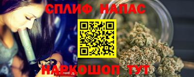 прущие грибы Обнинск