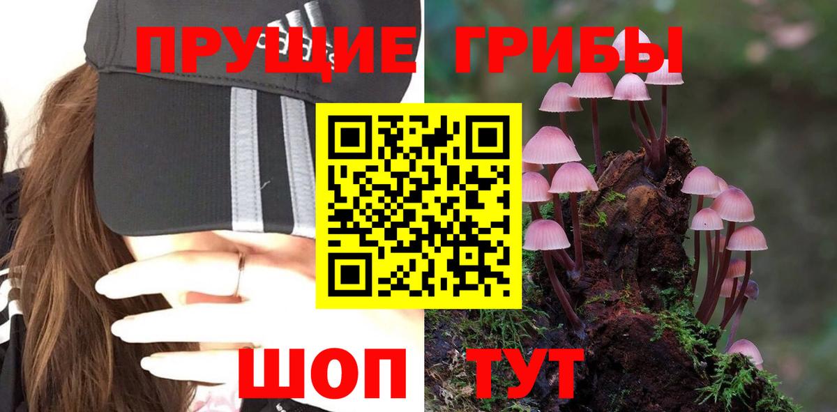 Сургут  Галлюциногенные грибы Psilocybine cubensis  Вход с VPN 